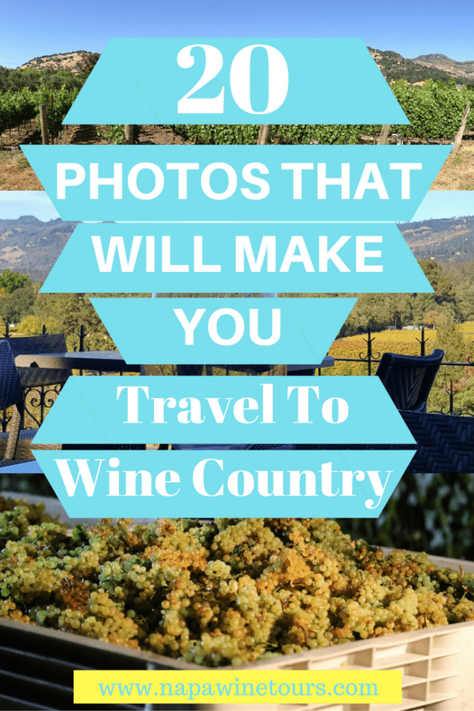 20 Photos That Will Make You Want To Travel To Wine Country