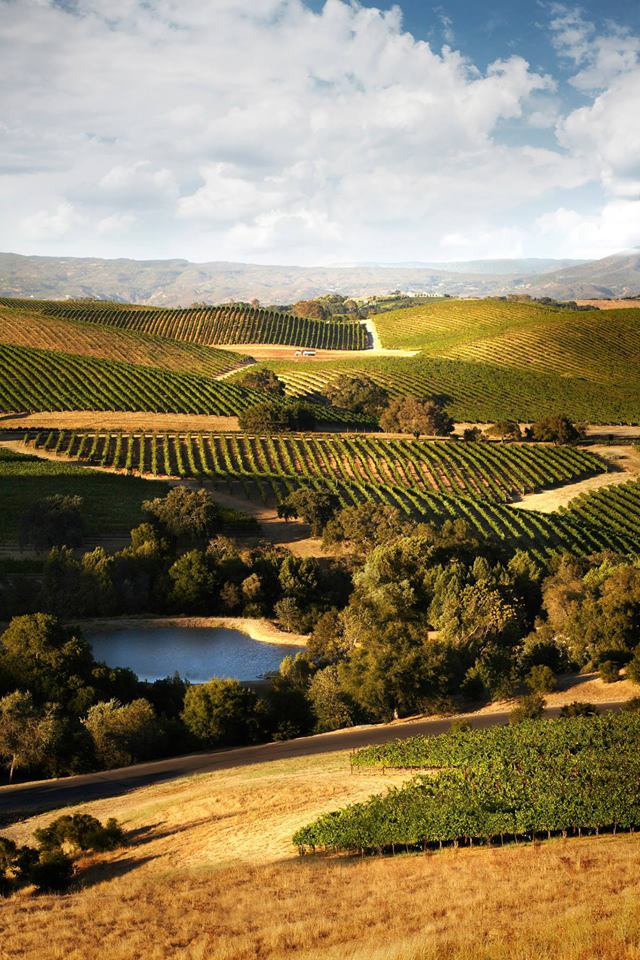 artesa view | Napa Wine Tours